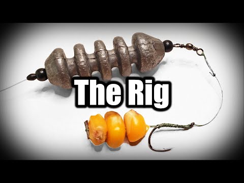 Flavored Tiger Nuts - Hook Baits for Carp Fishing *New* – Tom's